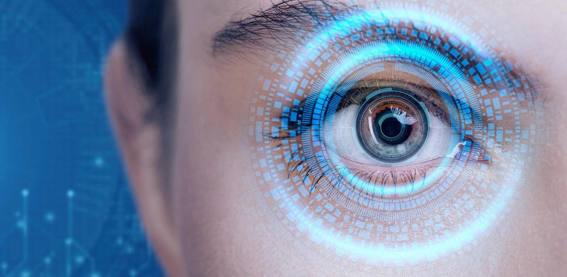 La Utilización del Iris en la Identificación Biométrica: Desafiando los Límites Legales